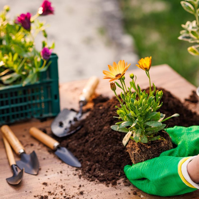 Уход за садом